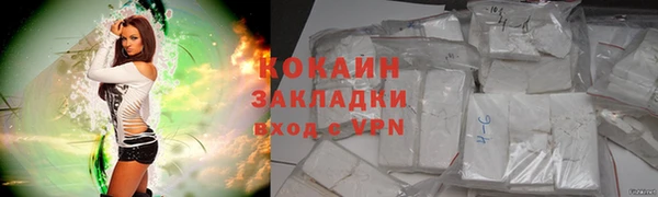 гашик Анива