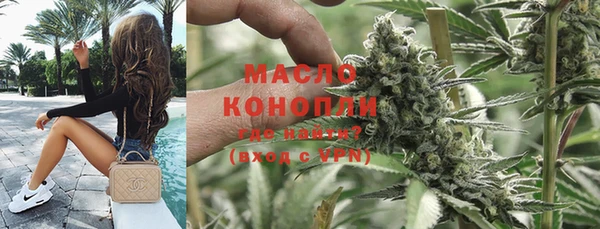 гашик Анива