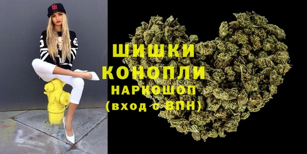 сатива Магадан