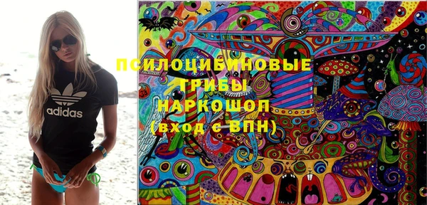 гашик Анива