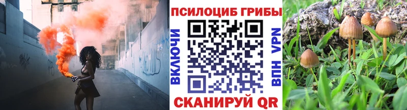 купить наркотик  Железноводск  Галлюциногенные грибы ЛСД 