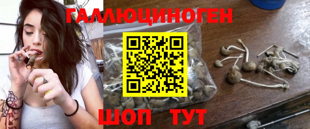 Псилоцибиновые грибы GOLDEN TEACHER Железноводск