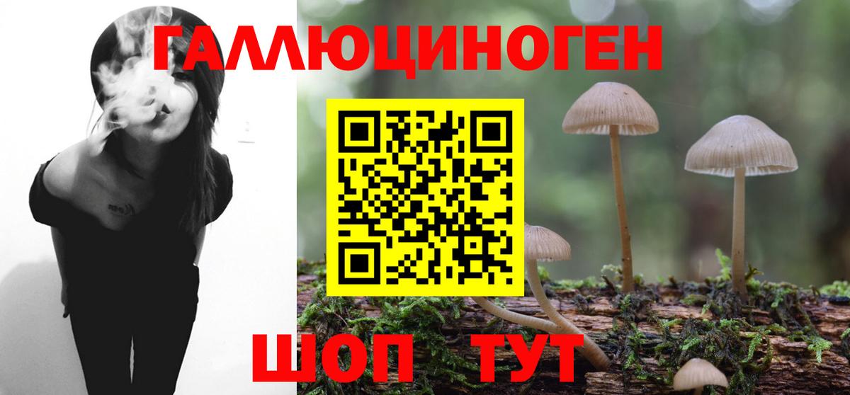 Псилоцибиновые грибы Cubensis  Псилоцибиновые грибы Psilocybe  Железноводск 